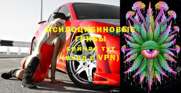 mdpv Новозыбков