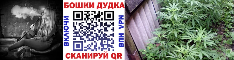 Купить где  Поворино  Марихуана семена 